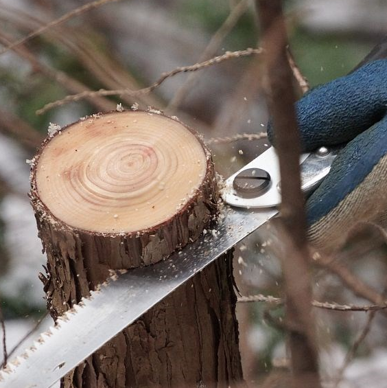 Эта японска складная пила Силки используется для плотницких работ, подрезки деревьев