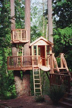 Дом на дереве: может быть сбывшейся мечтой ребенка, его первый дом