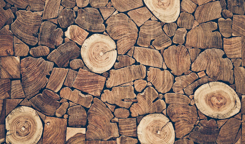 Итальянская фирма BORMA WACHS (Борма) является одним из крупных производителей продукции, используемой для обработки древесины и ее облагораживания. Благодаря применению современных технологий и использованию в производстве только экологически чистых и тщательно обработанных материалов позволяет компании оставаться лидером своего рынка, фирмой, в надежности и компетентности которой уже давно никто не сомневается.